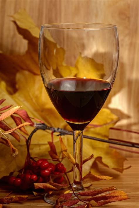 10 Wines For Fall Foods Fantastic Wine Pairings Just In Time For