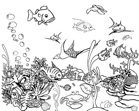 It is accessible for free. Fishtank coloring, Download Fishtank coloring for free 2019