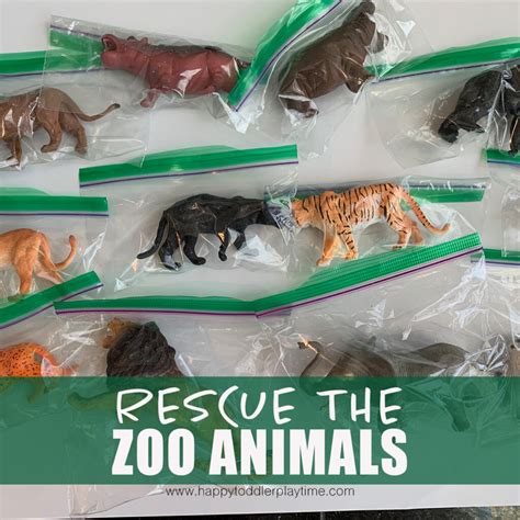 Rescue The Zoo Animals Happy Toddler Playtime