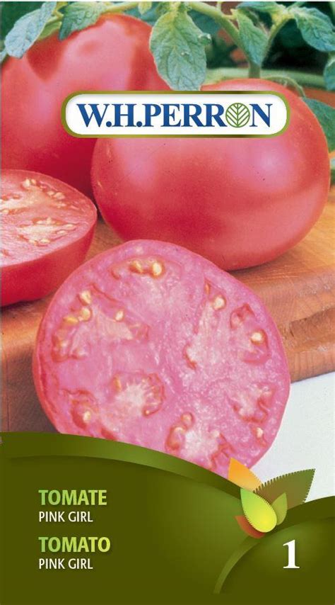 Pink Girl Tomato Seeds Serres Lavoie