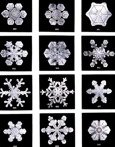Why Do Snowflakes Have Such A Fascinating Shape Science Abc