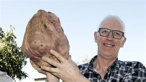 Is This The Biggest Sweet Potato Youve Ever Seen The Chronicle