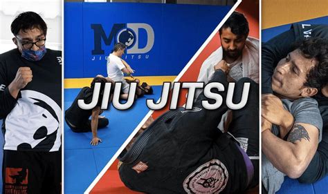 Academia De Jiu Jitsu Brasileño Bjj En Cdmx Md Del Valle Renzo