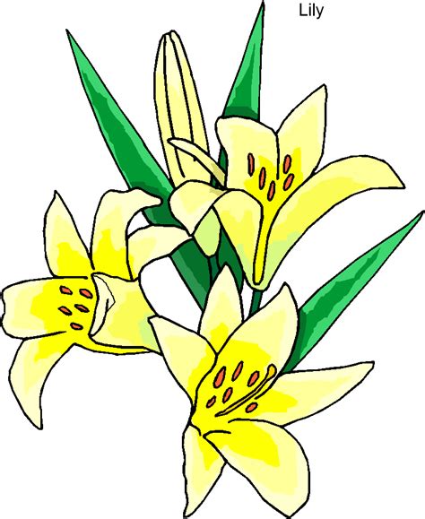 Free Free Easter Lily Clipart Download Free Free Easter Lily Clipart Png Images Free Cliparts