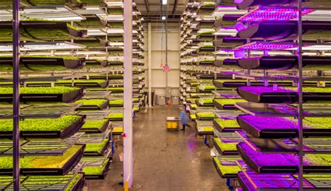 Aerofarms To Build Worlds Largest Indoor Vertical Farm In Abu Dhabi