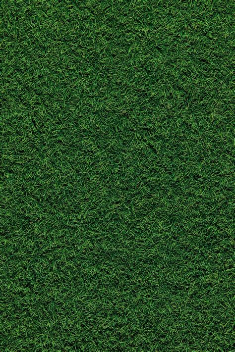 Green Grass Field During Daytime Photo Free Texture Image On Unsplash