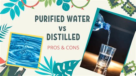 Purified Vs Distilled Water Pros And Cons Comparison Sustainability