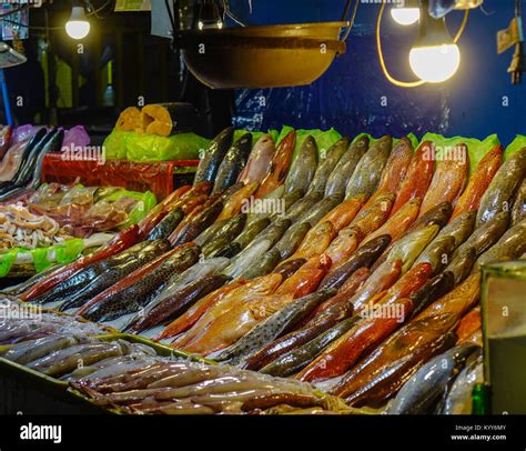 Fish At Market Of Seaside Dampa Macapagal In Manila Philippines Stock