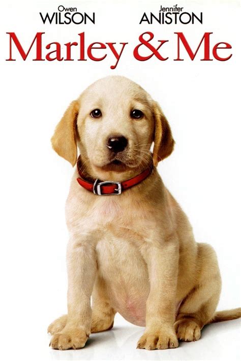 Marley And Me Rotten Tomatoes