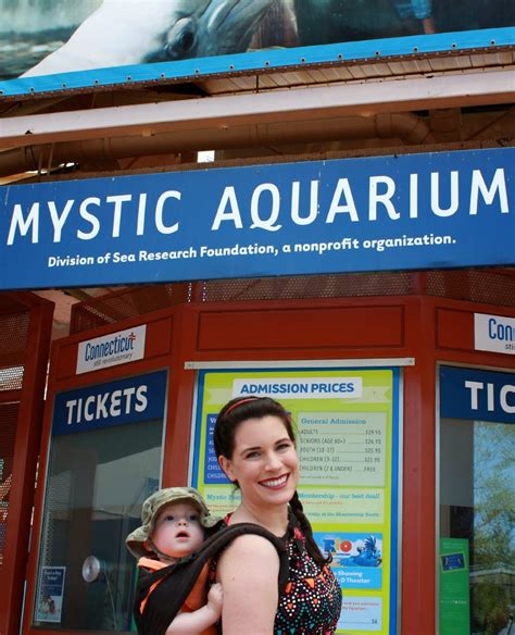 Our Trip To Mystic Aquarium Minute With Mary