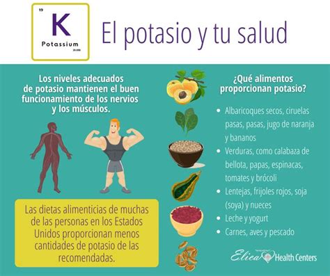 El Potasio Y Tu Salud Salud Vitaminas Y Minerales Potasio