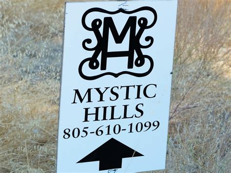 Mystic Hills Vineyard San Luis Obispo Guide