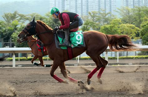 Lucky Lilac Aims To Maintain Her Resurgence In Hong Kong Vase