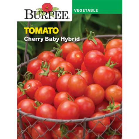 Burpee Cherry Baby Hybrid Tomato Seeds 1 Ct Pick ‘n Save