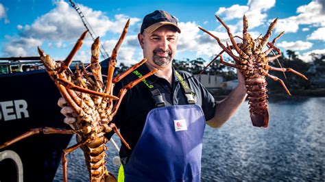 How Much Do Lobster Fishermen Make In Australia 2022 Qaqookingwiki