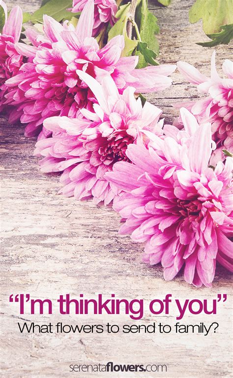 There are hundreds of amazing choices, which can seem to complicate the process. Im thinking of you flowers for family members