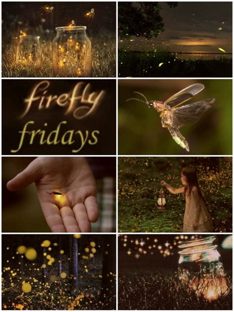 Fireflies Aesthetic On Tumblr