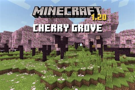 Cherry Grove In Minecraft Everything You Need To Know Beebom