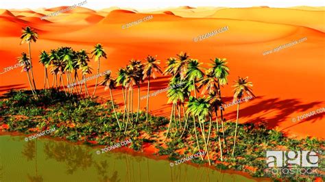 Beautiful Natural Background African Oasis Stock Photo Picture And