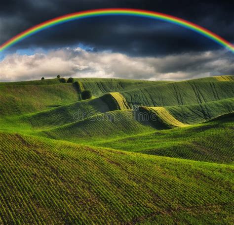 Scenic View Of Rainbow Over Green Field Stock Image Image Of Meadow