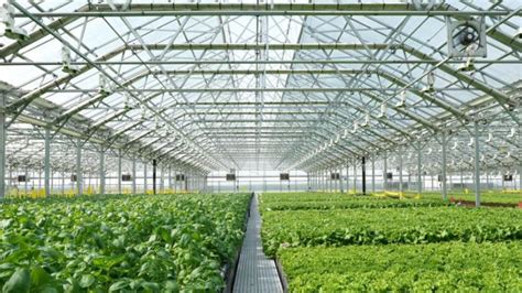 High Tech Greenhouses To Help Sustainable Agriculture