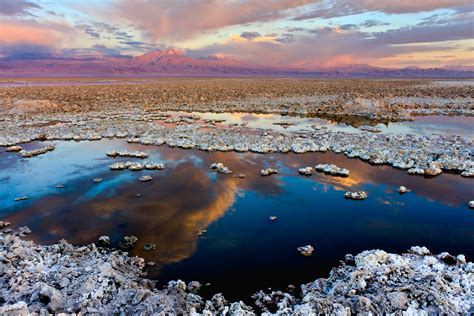 Por Da O Ambiental En Salar De Atacama Cde Demanda A Escondida