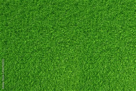 Green Grass Natural Background Texture High Resolution 3d Rendering