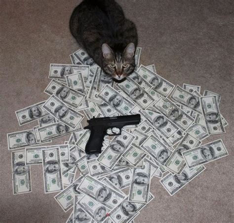 Cats With Fat Stacks Of Cash Cashcatsbizpost23646805071