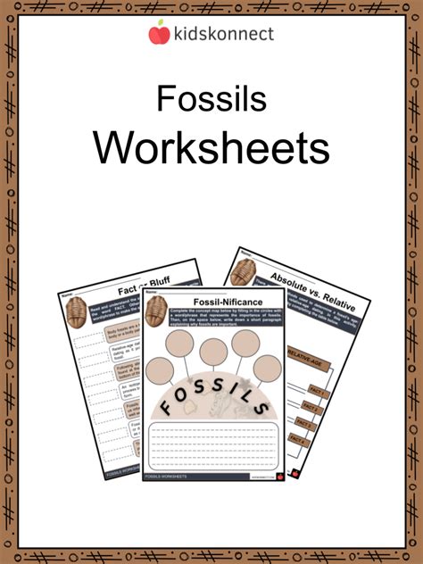 Fossil Facts And Worksheets Formation Findings Importance To Science