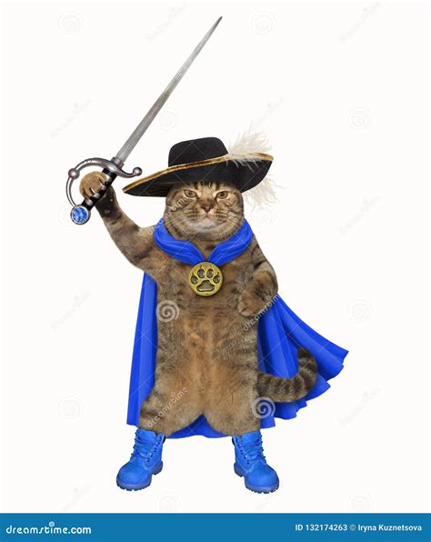 Cat In A Blue Cloak Holds A Sword Stock Image Image Of Feather Boots