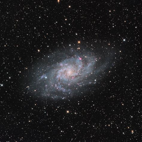M33 Triangulum Galaxy Galaxie Du Triangle The Triangu Flickr