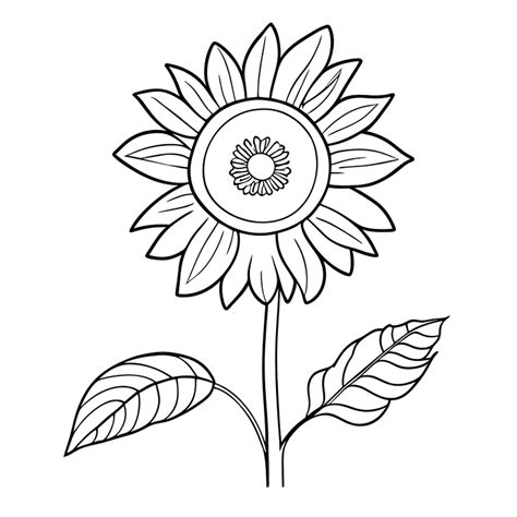 Premium Vector Sunflowers Vector Illustration Line Art
