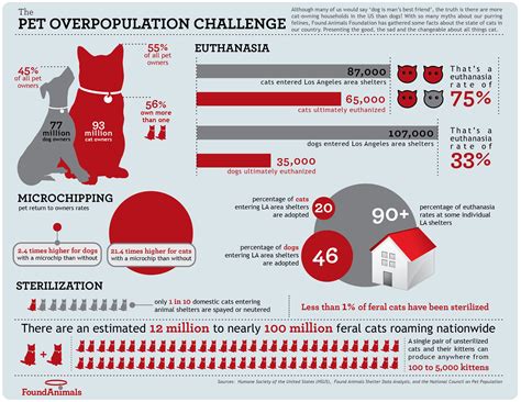 Cat Stats in the U.S. | Pets, Dog infographic, Cat adoption