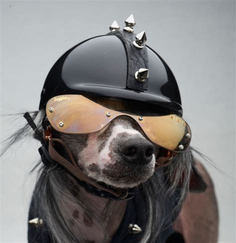 Spiked Mohawk Motorcycle Dog Helmet Rockstar Puppy Boutique