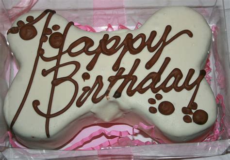 Perfect Dog Birthday Cakes For Your Pet To Pamper With