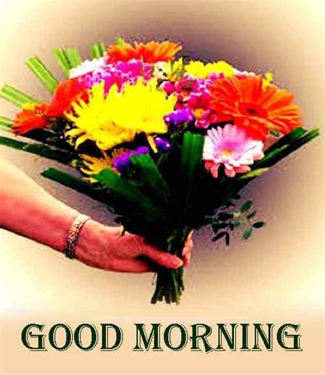 As you can see the lovely ring shining very well. 38+ Good Morning HD Flower images for free photo download ...