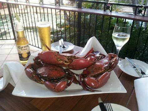 Cooking Mud Crab | Mud Crab Recipes