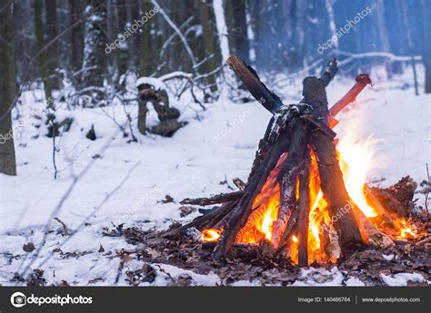 Fire In The Winter Forest — Stock Photo © Beaver1488 140466764