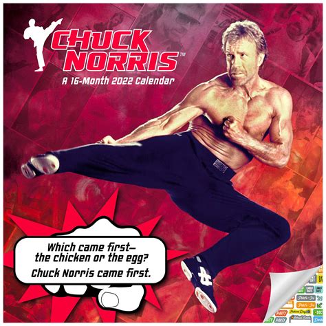 Buy Chuck Norris Facts 2022 Deluxe 2022 Chuck Norris Wall Bundle With Over 100 Stickers
