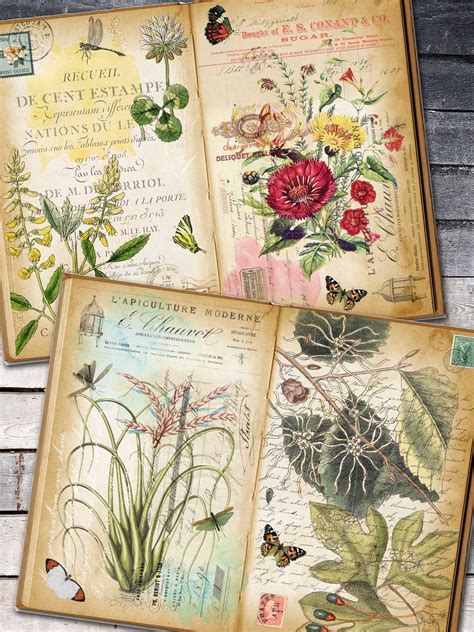 Digital Book Style Botanical Pages For Journal Vintage Floral Etsy