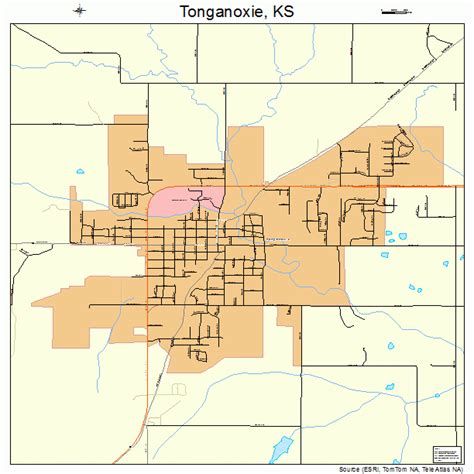 Tonganoxie Kansas Street Map 2070800