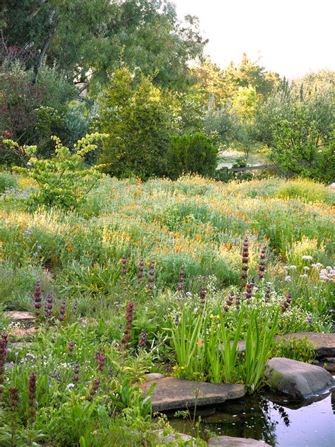 Meadow Garden Design Ideas Sunset Magazine