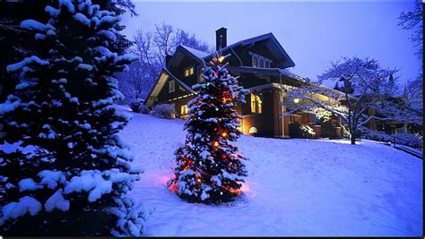 Hd Wallpaper Christmas Tree Lights Snow Night Time Home Hill
