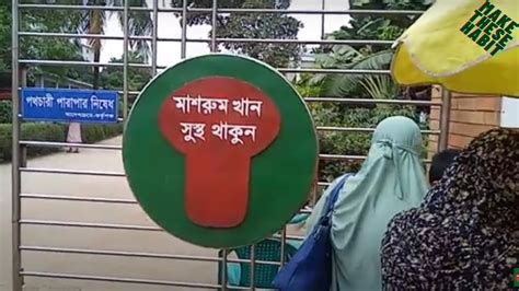 Visit Mushroom Development Institute Savar Dhaka Bangladesh Youtube