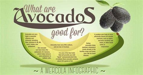 Avocados Could Be Key In Avoiding Metabolic Syndrome Numerous Ailments