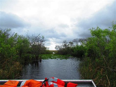 Everglades River Of Grass Adventures Miami 2020 All You Need To