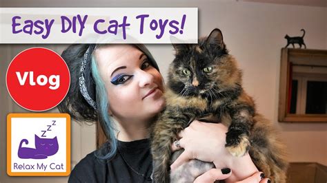 More Easy Diy Cat Toy Ideas How To Make Your Own Cat Toys