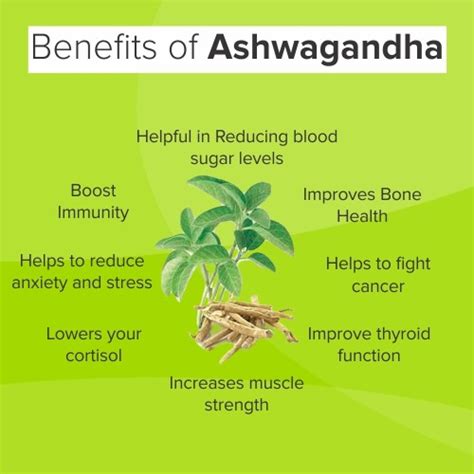 Benefits Of Ashwagandha