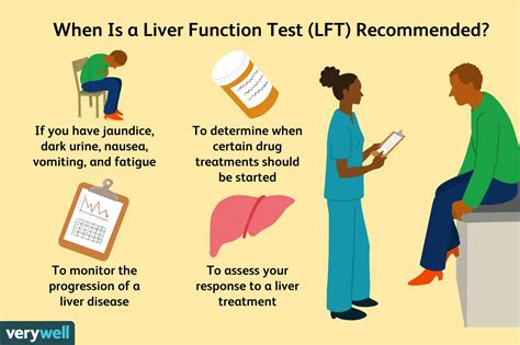 Elevated Liver Enzymes Healthbates