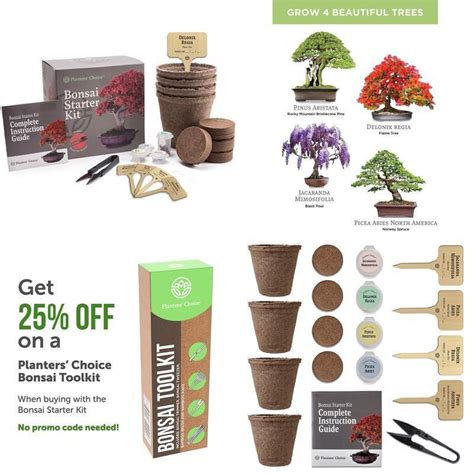 Grow It Bonsai Tree Kit Instructions